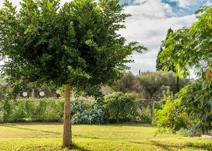 Piperitsa House For Nomads Or Families In The Countryside